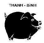 Nhãn hiệu Thanh Bình, hình THANH BINH của Cơ sở Thanh Bình, số đơn 4-1993-14753