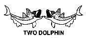 TWO DOLPHIN, hình TWO DOLPHIN