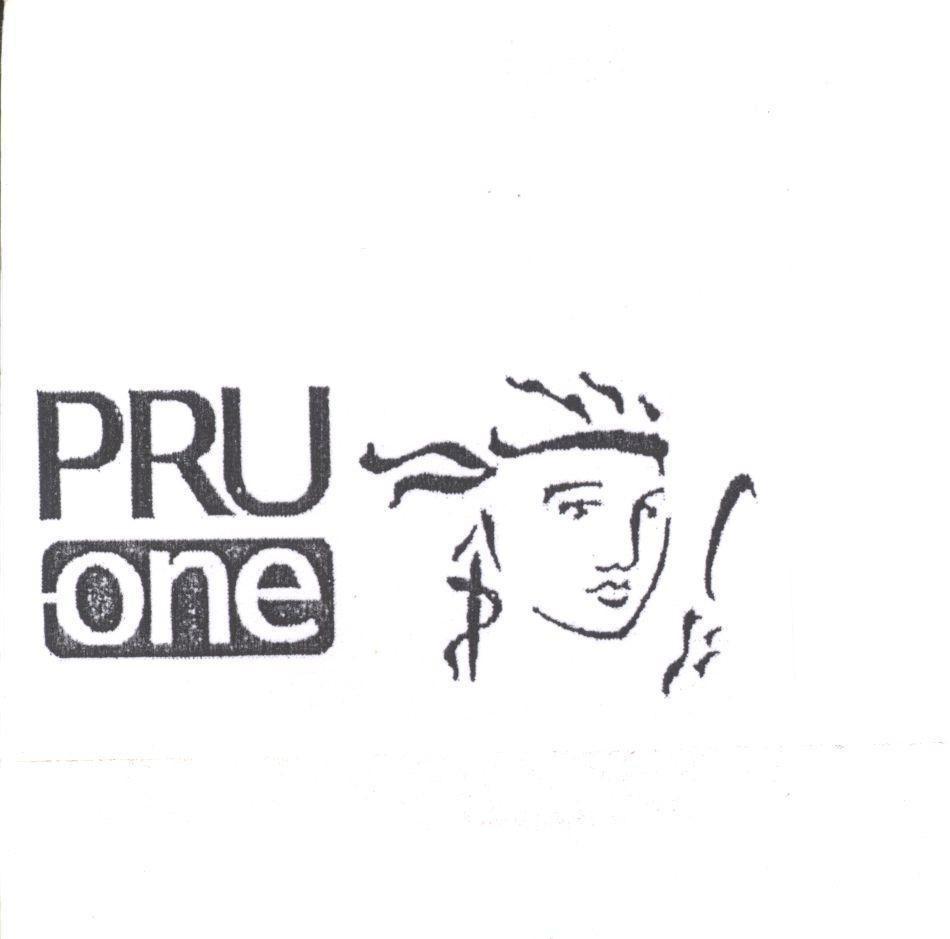 PRU ONE, hình PRU ONE