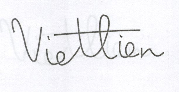 VIET TIEN VIET TIEN