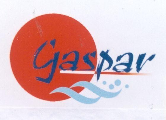 GASPAR 