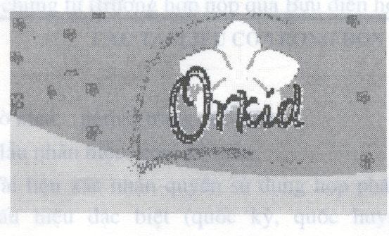 Nhãn hiệu ORKID , hình ORKID của THE PROCTER & GAMBLE COMPANY, số đơn 4-2002-04545