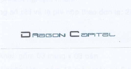 DRAGON CAPITAL DRAGON CAPITAL
