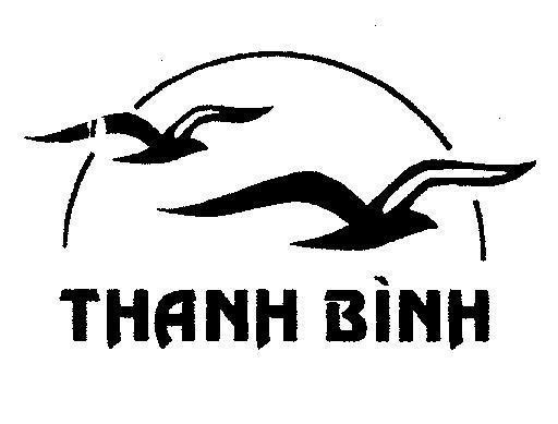 THANH BINH 