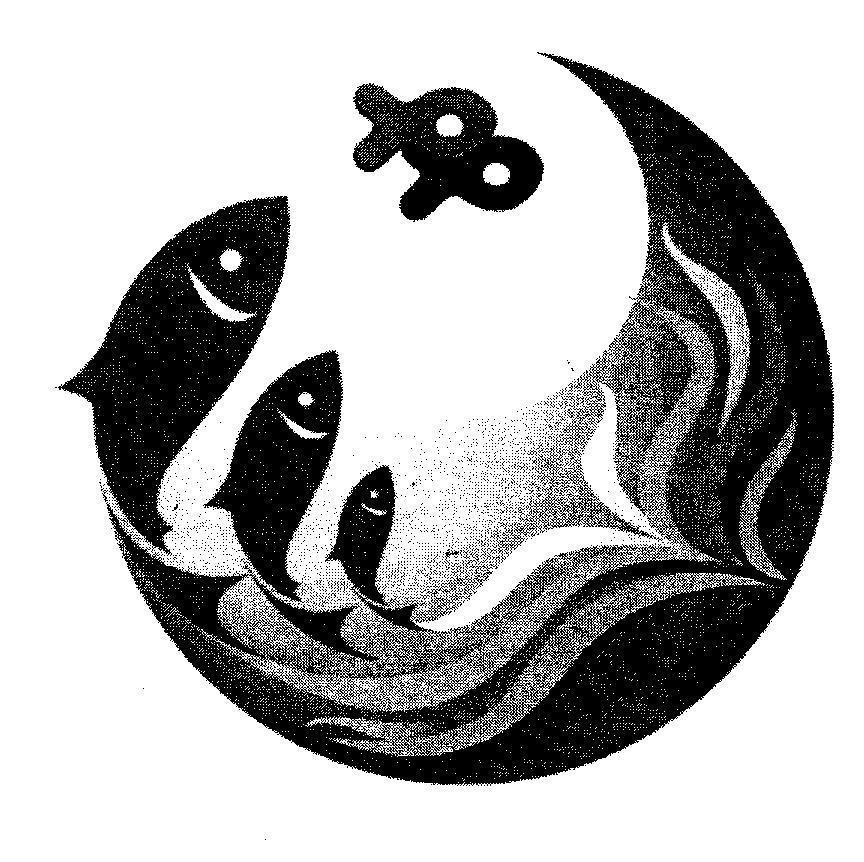 Trademark hình  of Société des Produits Nestlé S.A, application No 4-2005-07616