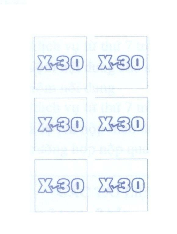 X 30 