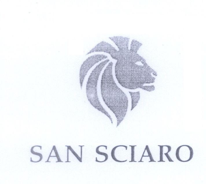 Nhãn hiệu SAN SCIARO  của Tổng công ty cổ phần may Việt Tiến, số đơn 4-2007-03105