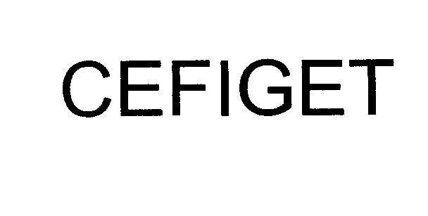 GETZ PHARMA INTERNATIONAL, FZ LLC的CEFIGET 品牌, 申请号 4-2007-16055