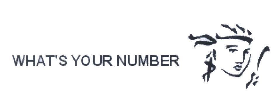 WHAT'S YOUR NUMBER, hình WHATS YOUR NUMBER WHAT S