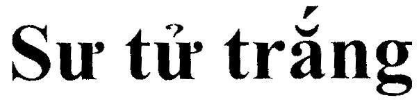 Sư tử trắng 
