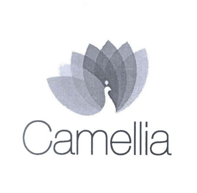 Camellia 