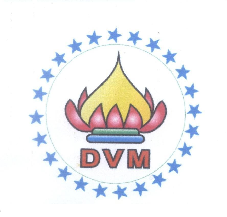 DVM 