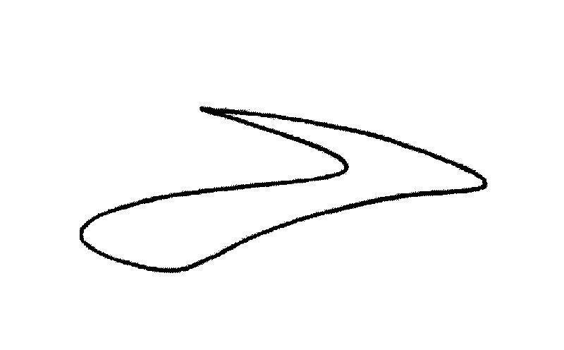 Trademark   of BROOKS SPORTS, INC., application No 4-2011-20225