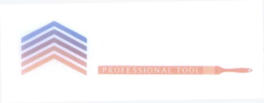 PROFESSIONAL TOOL 