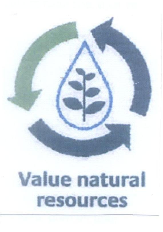 Nhãn hiệu Value natural resources  của BRIDGESTONE CORPORATION, số đơn 4-2012-12042