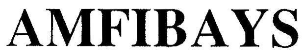 AMFIBAYS 