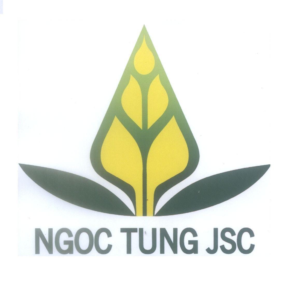 NGOC TUNG JSC 