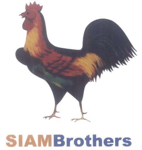SIAMBrothers 