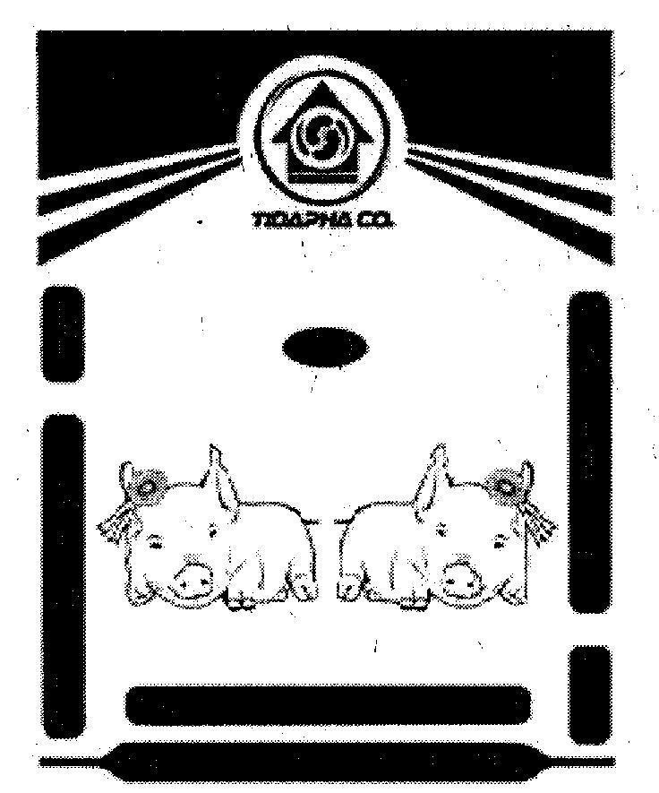 TIDAPHA CO 