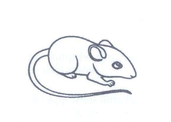 Nhãn hiệu   của MARC JACOBS TRADEMARKS L.L.C., số đơn 4-2013-21893