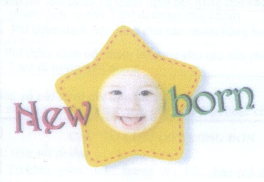 Công ty TNHH TAISUN Việt Nam的New born 品牌, 申请号 4-2013-28846