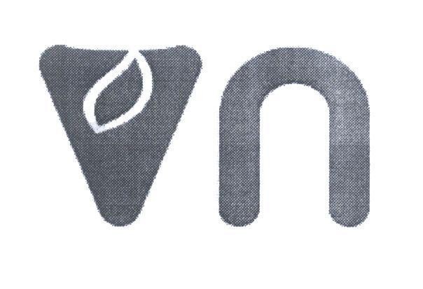 v n 