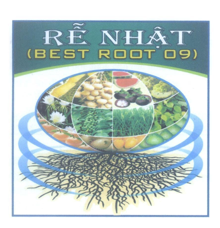 Nhãn hiệu Rễ Nhật (BEST ROOT 09)  của Công ty TNHH thương mại Ngân Gia Nhật, số đơn 4-2014-23825