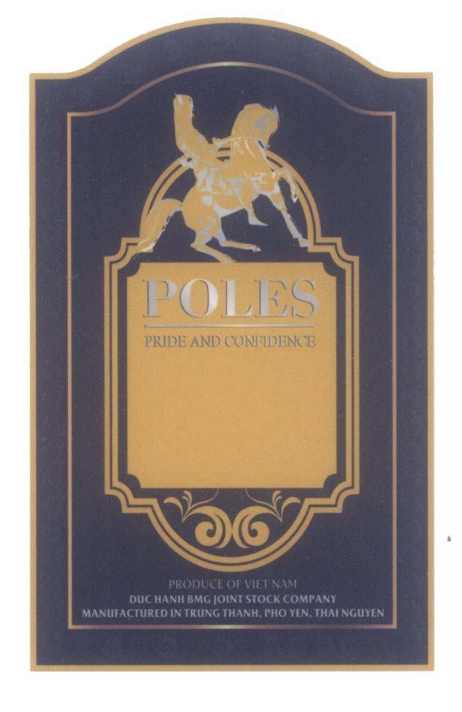 POLES PRIDE AND CONFIDENCE DUC HANH BMG... 