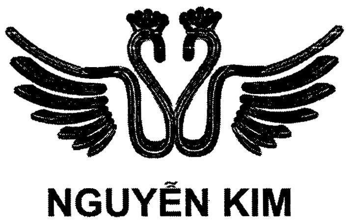 Nguyễn Kim 