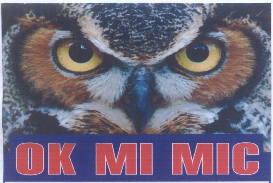Nhãn hiệu OK MI MIC  của Công ty TNHH thương mại Ngân Gia Nhật, số đơn 4-2015-00304