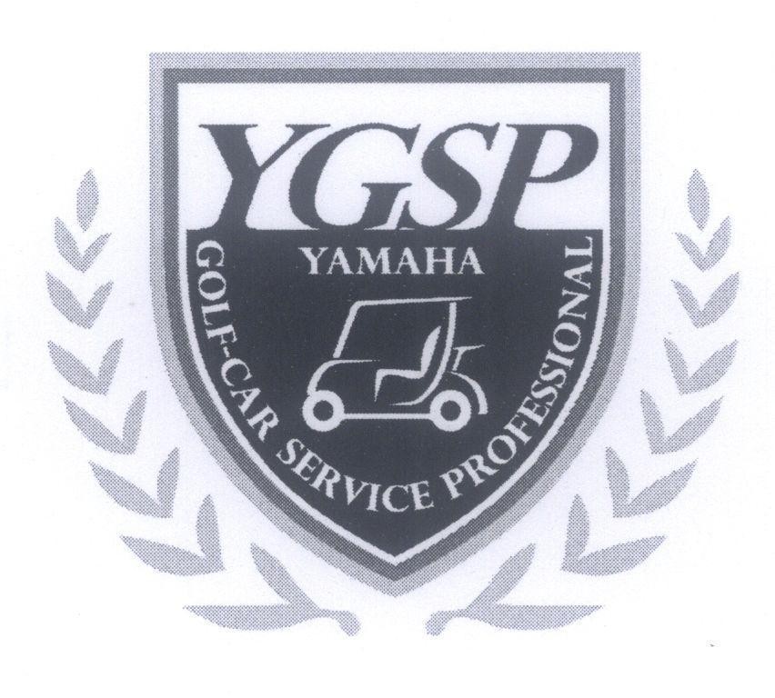 YGSP YAMAHA GOLF-CAR SERVICE PROFESSIONAL 