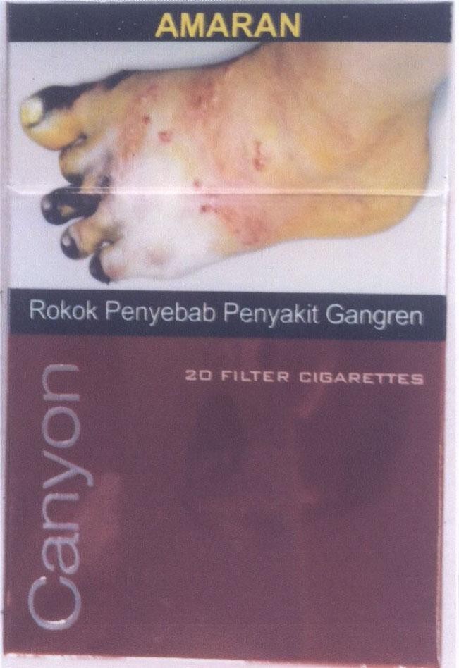 AMARAN Canyon Rokok Penyebab Penyakit Gangren 