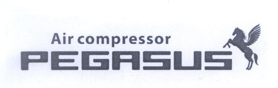 PEGASUS Air compressor 