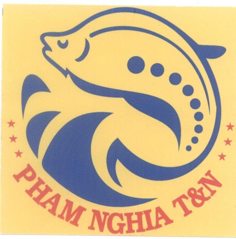 PHAM NGHIA T & N 