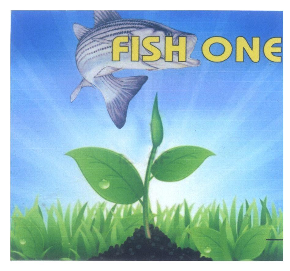Nhãn hiệu FISH ONE  của Công ty TNHH thương mại Ngân Gia Nhật, số đơn 4-2015-15236