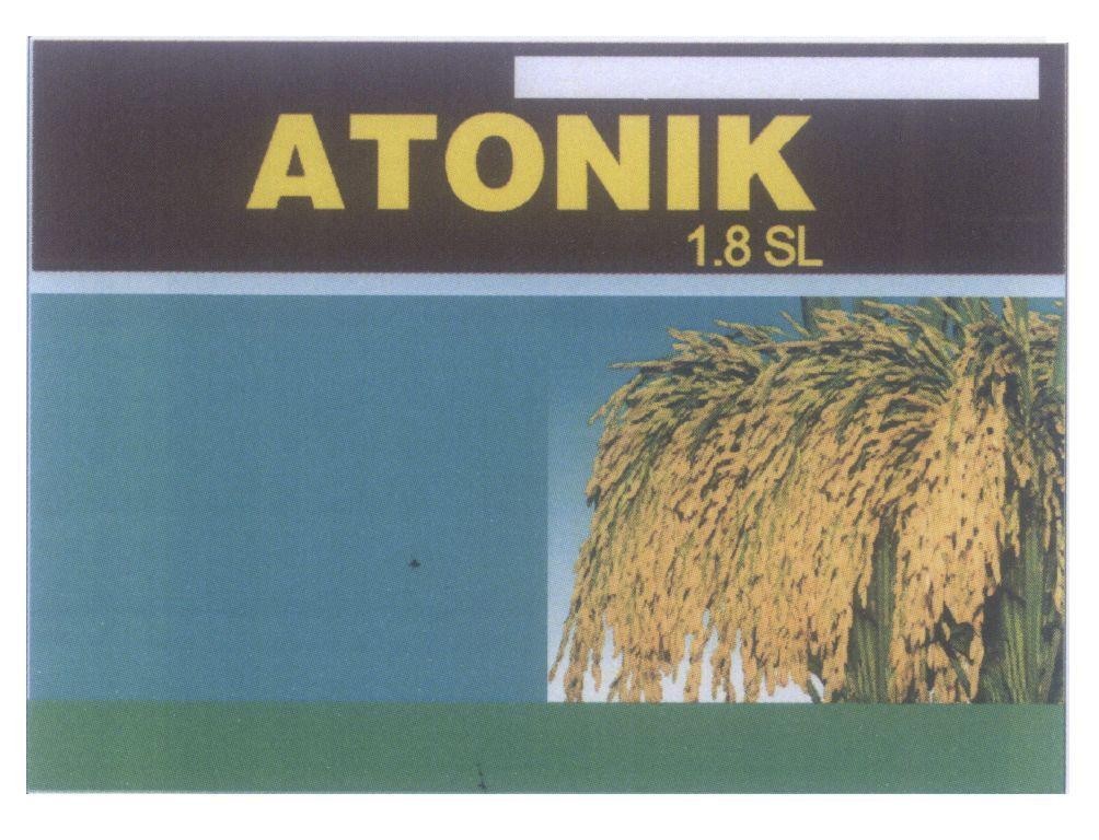 ATONIK 1.8 SL, hình ATONIK 1 8 SL 18