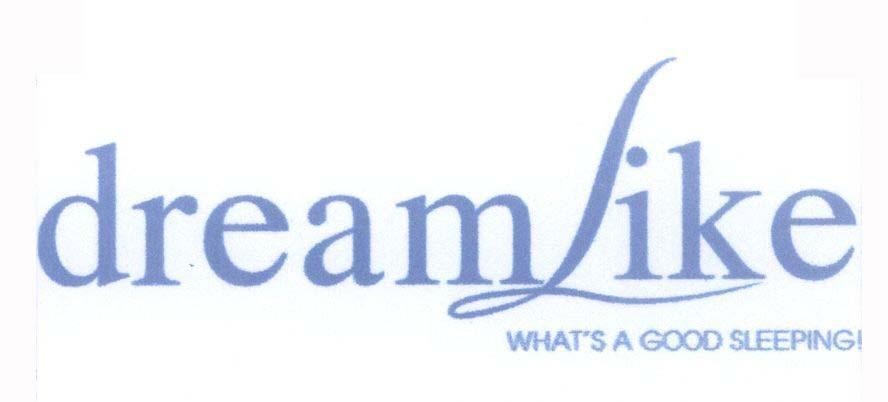 dream Like WHAT'S A GOOD SLEEPING! 