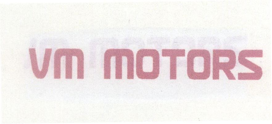 VM MOTORS 