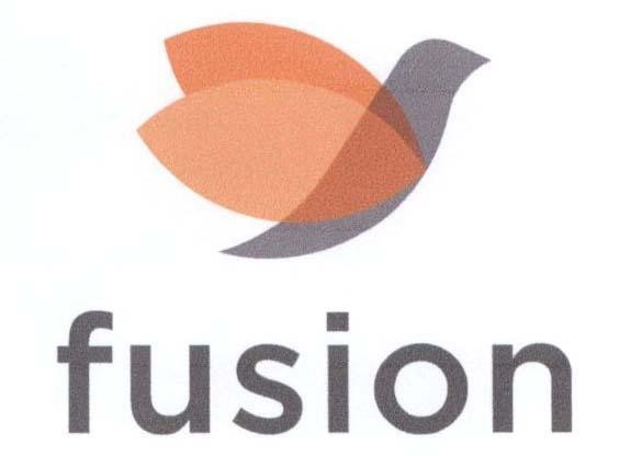 VAILEN INVESTMENTS PTE. LTD.的fusion 品牌, 申请号 4-2016-41872