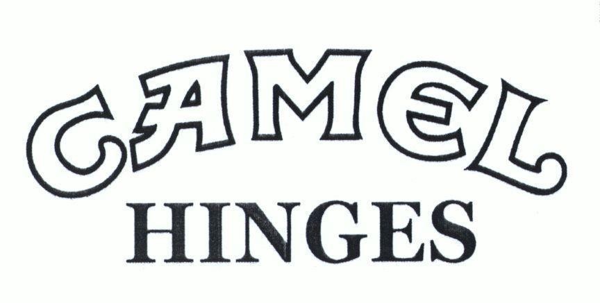 CAMEL HINGES 