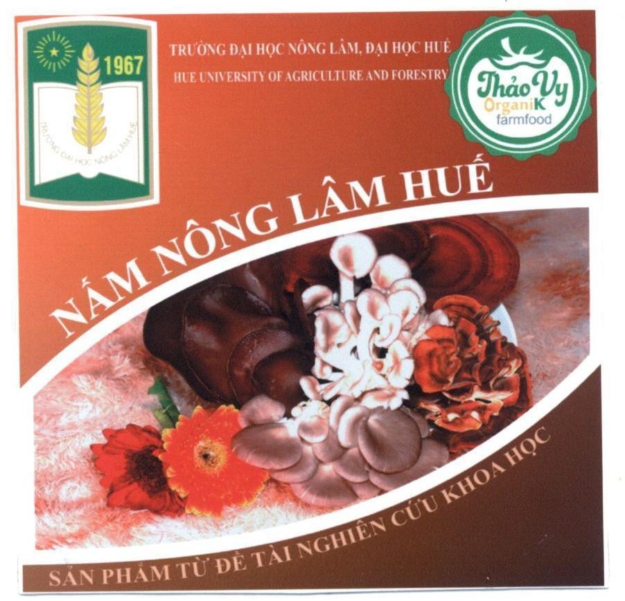 Nấm Nông Lâm Huế Sản Phẩm Từ Đề Tài Nghiên Cứu Khoa Học Trường Đại Học Nông Lâm, Đại Học Huế Thảo Vy OrganiK farmfood 