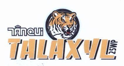 Công ty TNHH Ngân Anh的TÂNQUI TALAXYL 25WP 品牌, 申请号 4-2018-02075