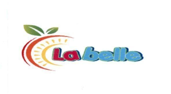 Công ty TNHH Quốc Tế Việt的Labelle C 品牌, 申请号 4-2018-04049