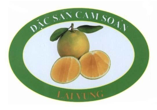 Đặc Sản Cam Soàn LAI VUNG 