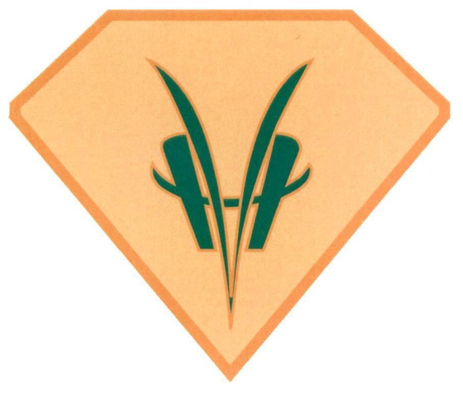 V H 
