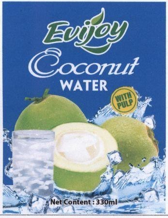 Evijoy Coconut WATER WITH PULP Net Content: 330ml 