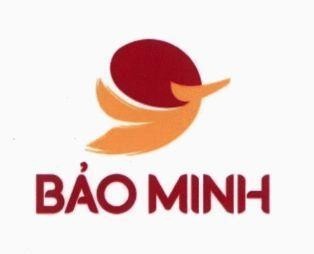 Bảo Minh 