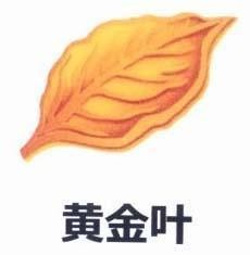 Nhãn hiệu [huang jin ye: lá vàng]  của Công ty TNHH một thành viên thuốc lá Thanh Hóa, số đơn 4-2018-38198