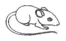 Nhãn hiệu   của MARC JACOBS TRADEMARKS L.L.C., số đơn 4-2018-38409