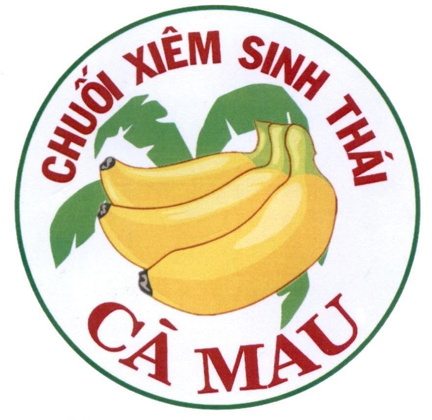 Chuối Xiêm Sinh Thái Cà Mau 
